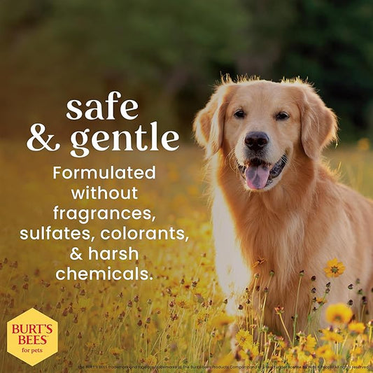 Burt's Bees for Pets Dog Eye Wash with Saline Solution, Gentle Eye Cleaner for Dogs and Puppies, Tear Stain and Debris Rinse for Sensitive Eyes, Natural Origin Formula, 4 Fl Oz - 24 Pack