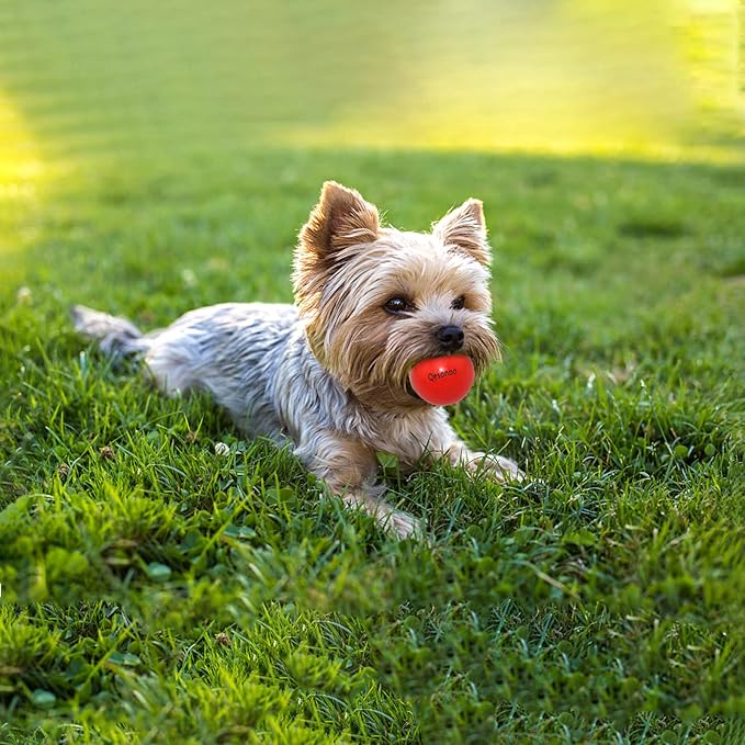 Dog Balls Indestructible,Solid Rubber Bouncy for Dogs Aggressive Chewers Small Breed,Non-Toxic&Floating&High Elasticity,Durable Fetch Ball Small to Chew,Play and Training