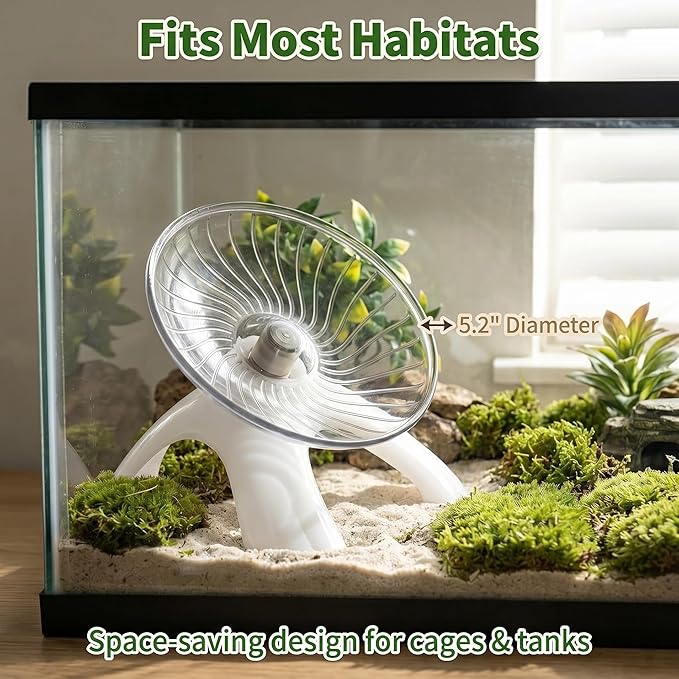 2Pcs Silent Hermit Crab Running Wheel Toy, Hamster Exercise Wheel, Small Animal Climbing Toy for Gecko, Jumping Spider, Rats and Hermit Crabs Cage & Tank Accessory (Diameter 5.2")