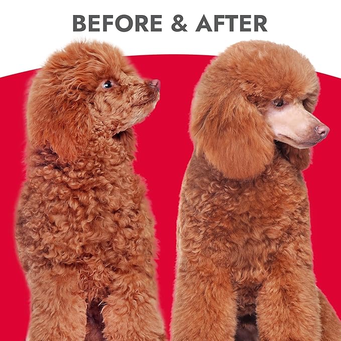 Kong Oatmeal Dog Conditioner – Soothes, Moisturizes & Relieves Itchy Skin, Oatmeal & Honey Scent, 18 oz - Plant-Based, pH-Balanced, Sulfate-Free, All Coat Types, for Sensitive Skin, Made in USA