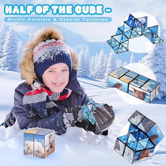 Euclidean Cube 2 in 1 Magic Cube Set, Fidget Toy for Kids Adults, Yoshimoto Cube for Ages 8-12, Arctic/Antarctic Animals Puzzle Cube Fun Toy for Boys Girls (Polar Series)