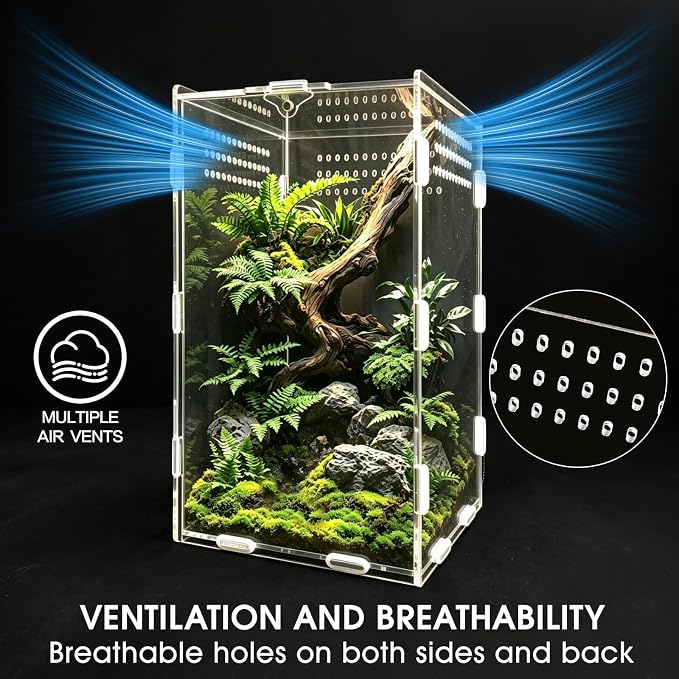 Jumping Spider Enclosure, Insect Terrarium, Bug Cage, Acrylic Terrarium for Tarantula, Snail, Praying Mantis, Frog, and Small Reptiles, Includes Tweezer and Bowl, (5.9" x 5.9" x 9.8")