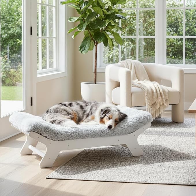 Muihood Wood Elevated Dog Bed Frame and Egg Crate Foam Mattress, Luxurious Suitable for Pets Up to 110 lbs, White, XL