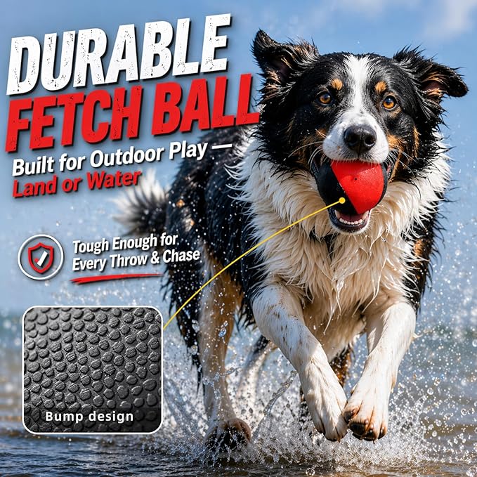 Squeaky Dog Ball for Fetch – Floating Rubber Ball for Water Play, Easy to Spot, Keeps Dogs Engaged, Durable for Pool, Lake & Outdoor Use, 2.7 Inch for Small & Medium Dogs