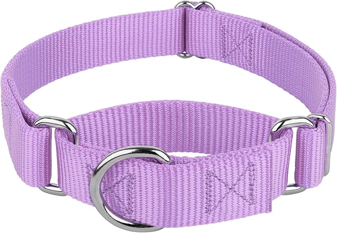 Country Brook Petz - Martingale Dog Collar - Heavy-Duty Training Collar with No Buckle - Service Dog Collar for All Pups - 20 Vibrant Colors (Lavender, 1 Inch, Extra Large)