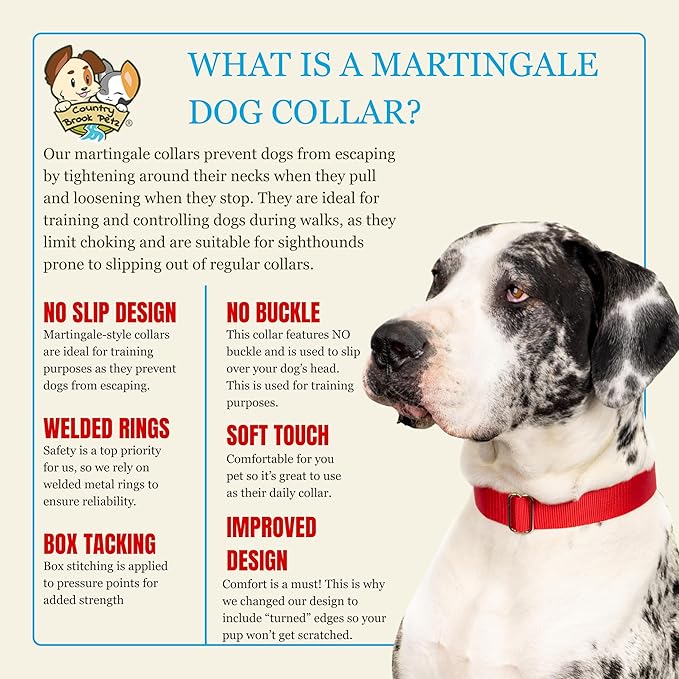 Country Brook Petz - Martingale Dog Collar - Heavy-Duty Training Collar with No Buckle - Service Dog Collar for All Pups - 20 Vibrant Colors (Red, 1 Inch, Extra Large)