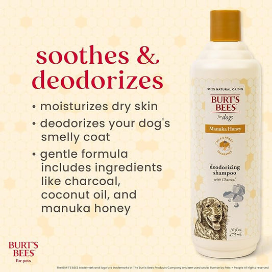 Burt's Bees for Pets Deodorizing Shampoo for Dogs, Manuka Honey & Charcoal, Reduces Odor, 95%+ Natural Origin, No Sulfates, Parabens or Phthalates, Leaves Milk & Honey Scent, 16 Fl Oz