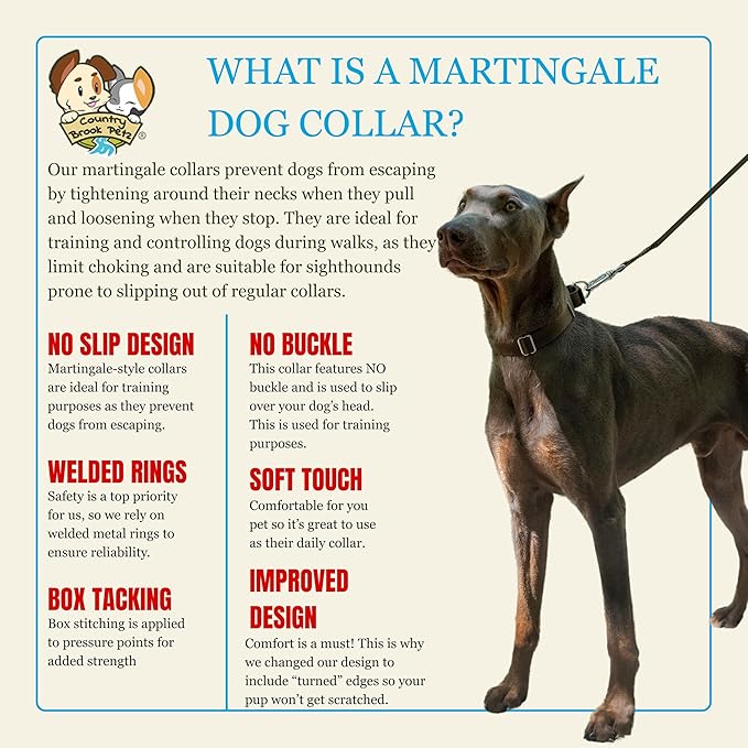 Country Brook Petz - Martingale Dog Collar - Heavy-Duty Training Collar with No Buckle - Service Dog Collar for All Pups - 20 Vibrant Colors (Brown, 1 Inch, Large)