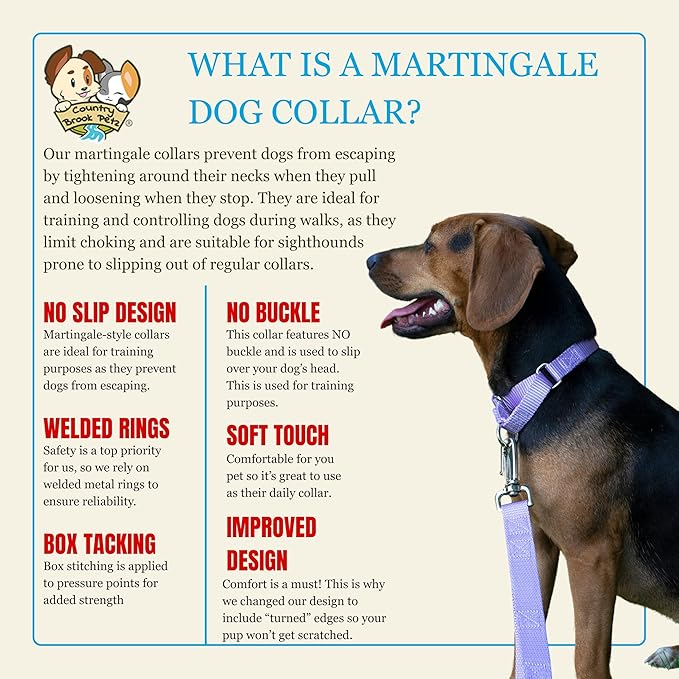 Country Brook Petz - Martingale Dog Collar - Heavy-Duty Training Collar with No Buckle - Service Dog Collar for All Pups - 20 Vibrant Colors (Lavender, 1 Inch, Large)