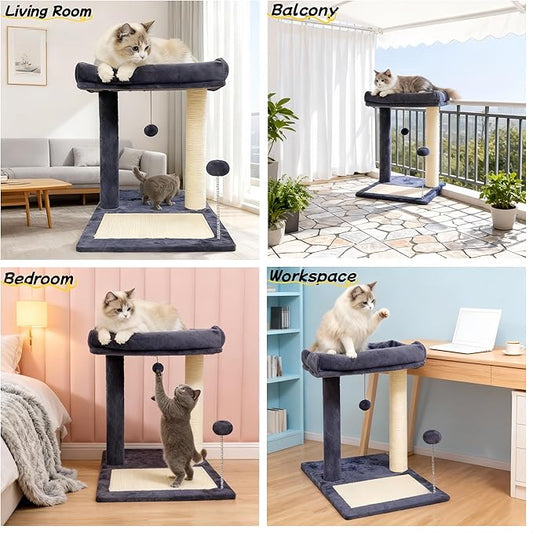 Cat Scratching Post, 19.69" H(50cm) Cat Tree with Cat Bed, Scratching Posts for Indoor Cats with Two Plush Balls Toy, Small Cat Tree for Kittens/Cats Playing and Relaxing (20 in Grey Cat Tree)