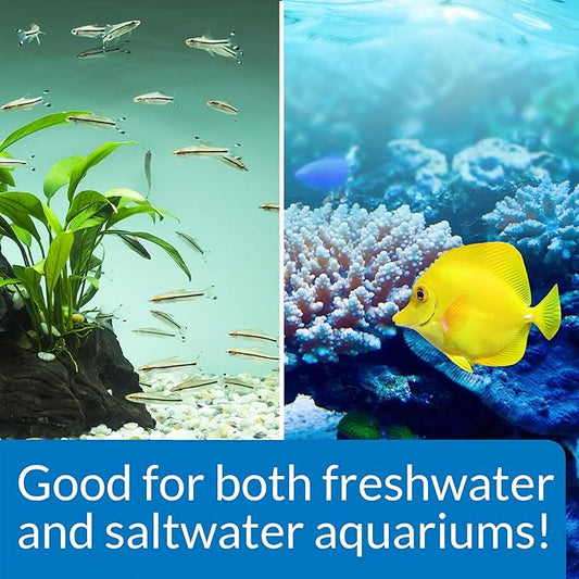 API STRESS ZYME Freshwater and Saltwater Aquarium Cleaning Solution 16-Ounce Bottle