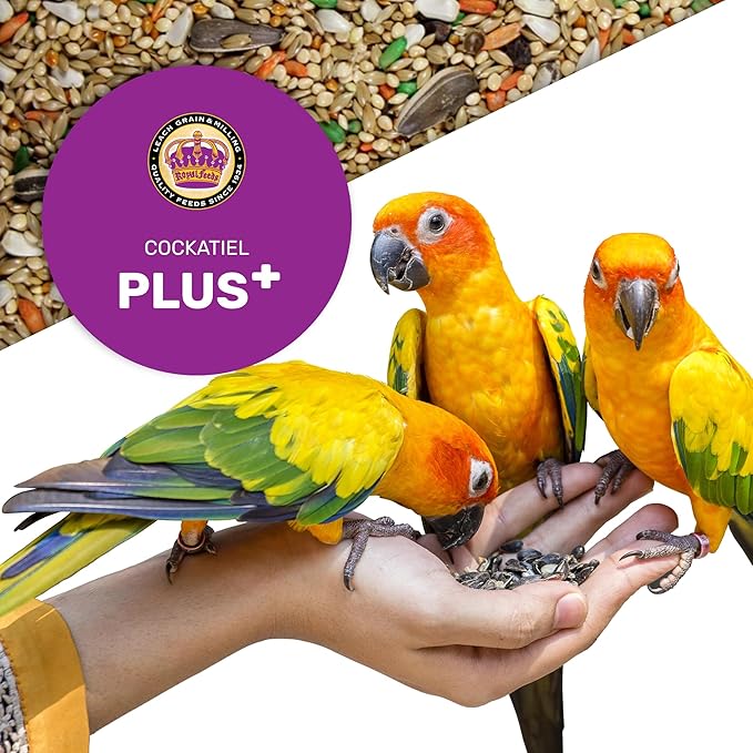 Cockatiel Plus 25 lbs, Cockatiel Bird Seed, Nutrient-Rich Mixed Birdseeds, Bird Food for Cockatiels, Natural Mixed Seeds for Other Small Parrot, Support Daily Growth Energy and Healthy Balanced Diet
