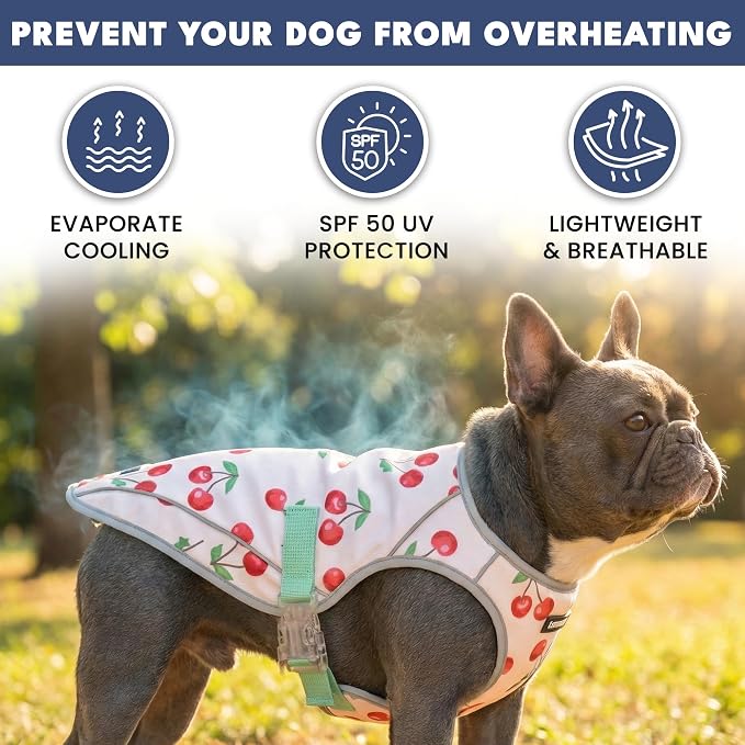 Spark Paws Dog Cooling Vest - SPF 50 UV Sun Protection - Summer Heat Relief Gear for Dogs, Lightweight, Evaporative Cooling - Dog Anxiety Relief Vest During Hot Days - Cherries - Size S