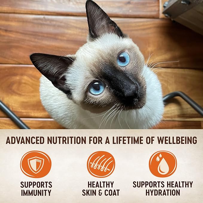 Wellness CORE Tiny Tasters Pate Adult Wet Cat Food,Natural,Protein-Rich,Grain Free,1.75 Ounce Pouch (Chicken & Turkey),(Pack of 24)