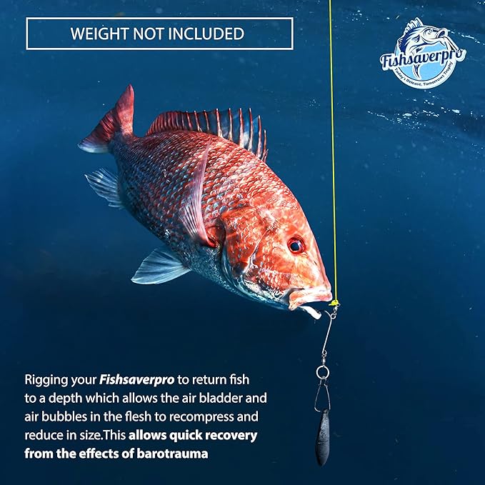 fish descending return device - 2 Pack- Compact & reliable release device built for long life. No mechanical release to fail. Great for red snapper. Unlike venting tools NOAA preferred.