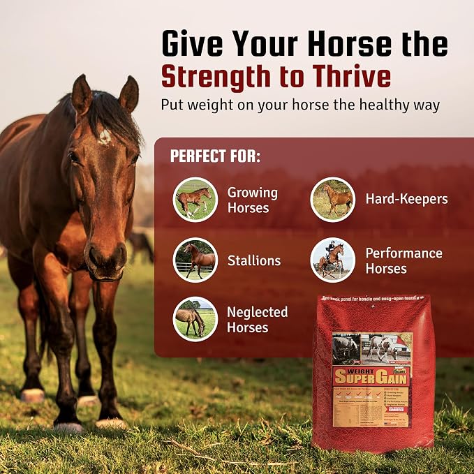 Horse Guard Super Weight Gain 40 lb – 3-in-1 Horse Weight Gain Supplement with Full-Fat Soy, Probiotics & Vitamins – Supports Digestion, Coat & Muscle Health – 80 Servings