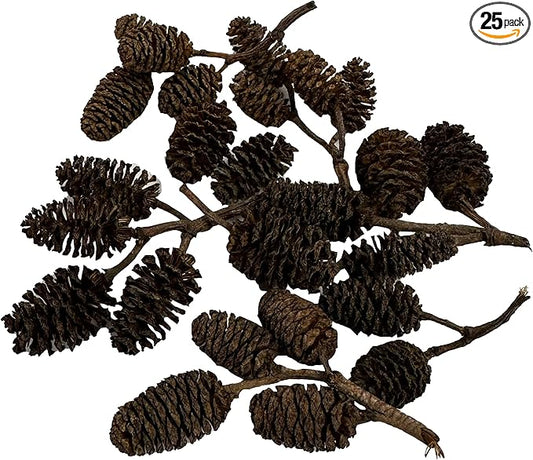 Alder & Casuarina Cones Betta Shrimp Tank Promotes Natural Habitat, Breeding, Tannin Producing Improves Immunity, Easy to Use, by Awesome Aquatic (25 Pack Alder)