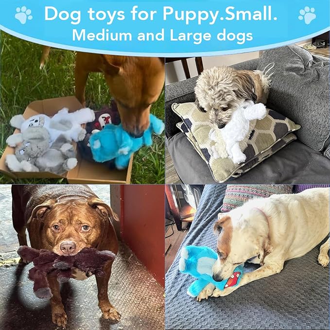 Bzonsmart 5-Pack Dog Squeaky Toys. Tough Plush Crinkle Toys for Small Medium Large Dogs. Interactive Dog Toys to Keep Them Busy. Soft chew Toys for All Dogs and Teething Playing Training
