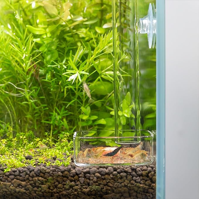 LINLAN 7.78 Inch Glass Shrimp Feeder, Aquarium Feeding Tube and Square Bowl with Two Suction Cups to Prevent Food from Spreading, for Crystal Shrimp and Cherry Shrimp