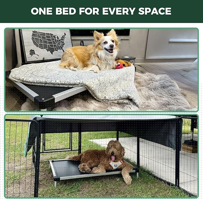 FXW TitanNest Chew-Proof Elevated Dog Bed, Raised Cot for Indoor/Outdoor/Camping Use, Durable & Waterproof Cooling Pet Bed for Toy Dogs, 23.0" L x 17.0" W x 4.5" H, Black