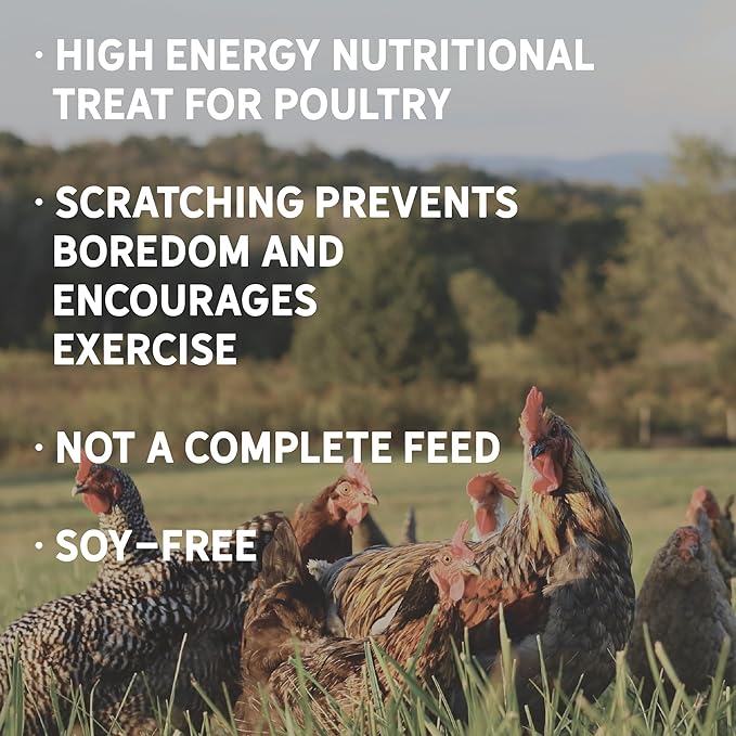 New Country Organics | Chicken Feed | Scratch Feed for Adult Poultry | Soy-Free | 9% Protein | Certified Organic and Non-GMO | 25 lbs