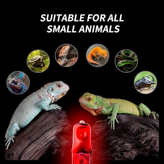 G9 Red Heat Lamp Bulbs for Reptiles 50W 4Pack,Mini Night Halogen Light Bulbs,Dimmable Infrared Heat Light for Tortoise,Turtle,Gecko,Bearded Dragon,Lizard Tank