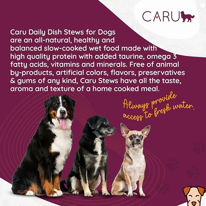 Caru - Daily Dish Turkey & Lamb Stew - for Dogs - Supports Overall Pet Health - Wet Dog Food/Meal Topper - Human Grade Ingredients - Grain, Corn & Soy Free - Non-GMO - Made in USA - 12 oz - Pack of 4