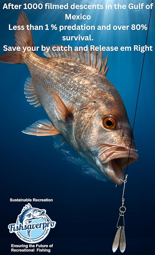 fish descending return device - 2 Pack- Compact & reliable release device built for long life. No mechanical release to fail. Great for red snapper. Unlike venting tools NOAA preferred.