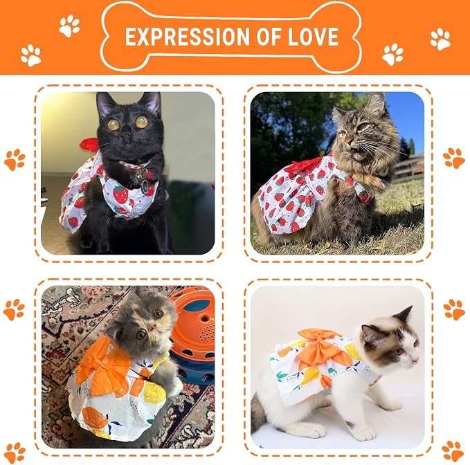 TAPBULL Dog Dresses, Fashionable Pet Dog Clothes, Cute Cat Birthday Dress Outfit (Orange/Red/Yellow/Blue/Pink 5-Pack), Medium