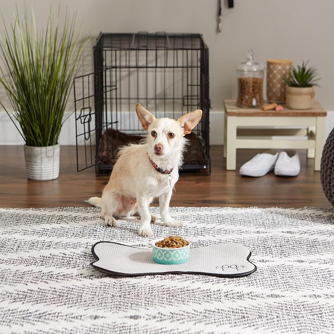 Bone Dry Lattice Collection Pet Bowl & Canister, Single Dish, Small 4.25x2", Aqua