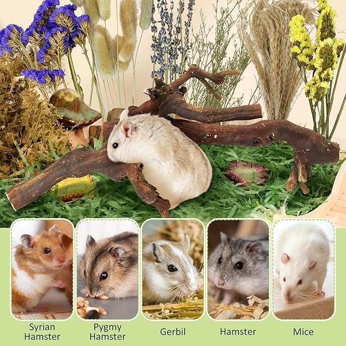 2Pcs Hamster Climbing Branches Decor 11.8in Rat Tree Logs Toy Wooden Gerbil Habitat Ornament Small Animal Cage Accessories with 31Pcs Natural Flower Hamster Mate Herbs