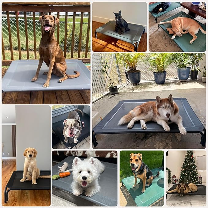 Elevated Dog Bed Raised Outdoor Dog Cot for Extra Large Dogs, Installation Requires No Tools, Frame with Washable Cooling Breathable Mesh Anti-Slip Feet, Indoor Pet Bed, Black, 48.8 Inches