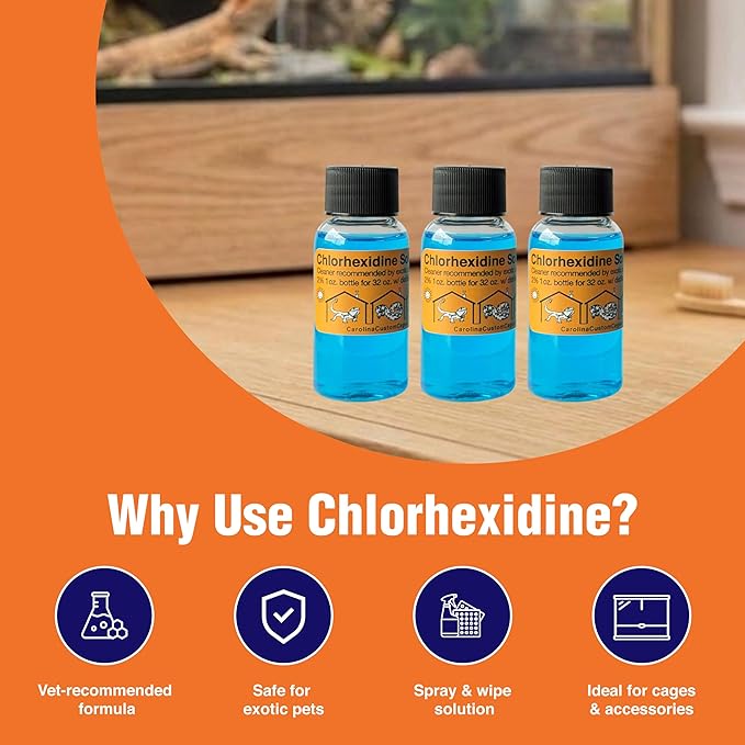 3 Refills of 32 oz Each, Chlorhexidine Solution 2%, Chlorhexidine Cleaning Solution, Chlorhexidine Spray for Reptile Habitats