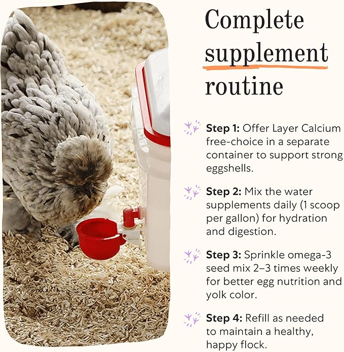 Grubbly Farms Supplements Bundle - Layer Calcium, Probiotics+Prebiotics, Vitamins+Electrolytes & Omega Mix - Complete Nutrition Support, Strong Eggshells & Digestive Wellness for Laying Hens