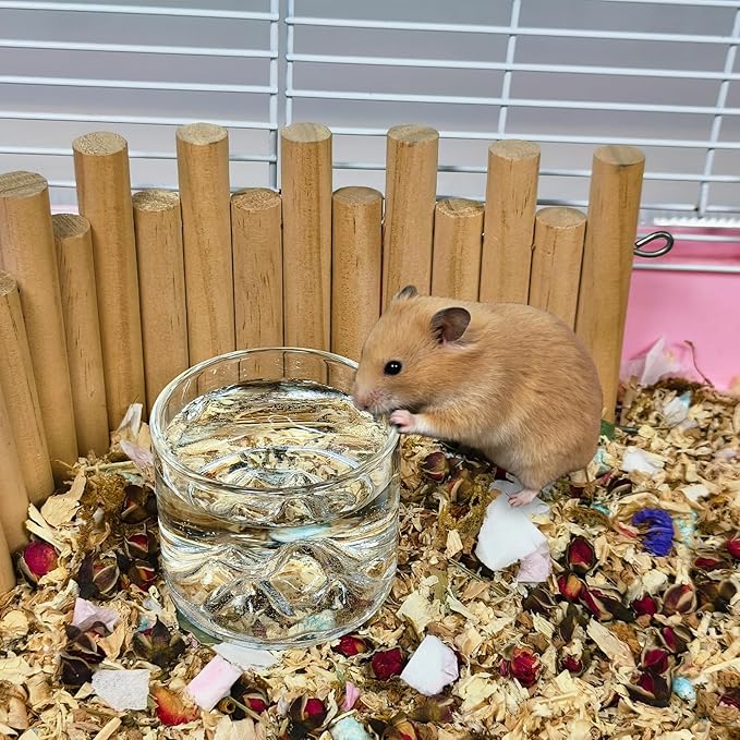 2 Pcs Hamster Feeding & Water Bowls, Glass Syrian Hamster Water Bottle Rat Food Bowl Anti Turning Small Animal Bowls for Gerbils Mice Rats (Clear)