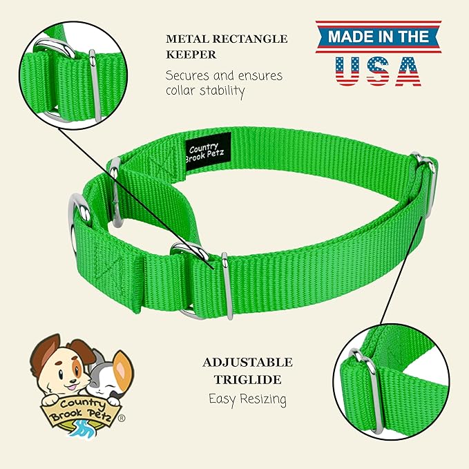 Country Brook Petz - Martingale Dog Collar - Heavy-Duty Training Collar with No Buckle - Service Dog Collar for All Pups - 20 Vibrant Colors (Hot Lime Green, 1 Inch, Large)