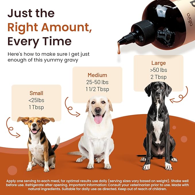 Everyday Dog Gravy - Wet Dog Food Topper for Dry Food with Glucosamine, MSM, Chicken Bone Broth, Omega 3, Probiotics and Taurine - Skin, Coat, Heart, Hip and Joint Support, 16 oz (Bacon