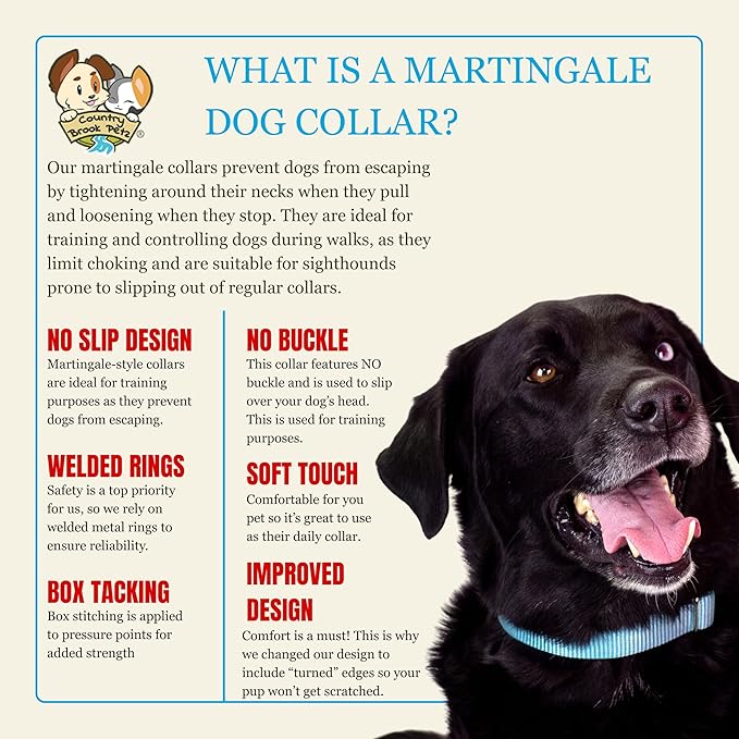 Country Brook Petz - Martingale Dog Collar - Heavy-Duty Training Collar with No Buckle - Service Dog Collar for All Pups - 20 Vibrant Colors (Ocean Blue, 1 Inch, Medium)