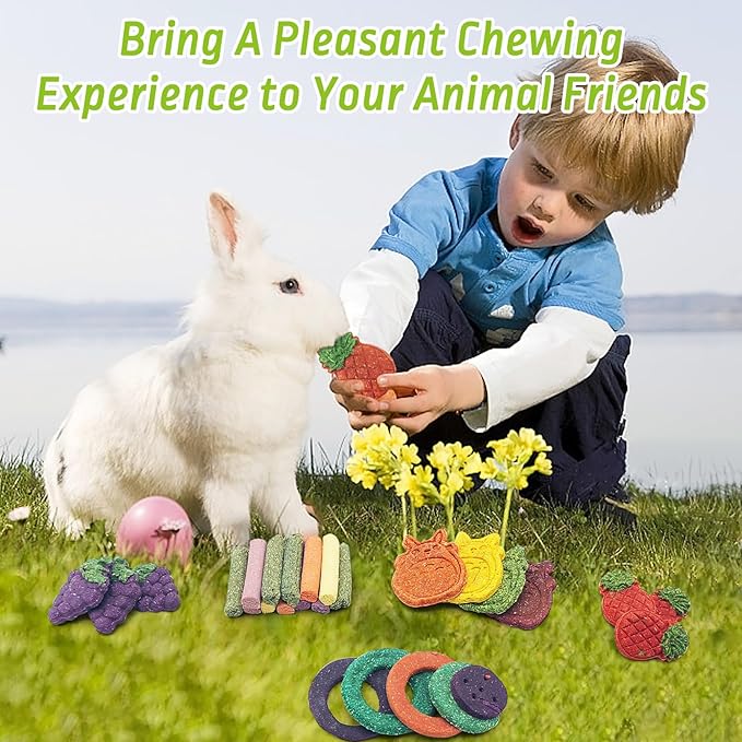 Fhiny 27 PCS Rabbit Chew Toys for Teeth, Natural Bunny Treats，Chinchillas Snack Food Small Animal Molar Toys for Guinea Pigs Mice Gerbils Made of Timothy Grass Pumpkin Beets Purple Potatoes Carrot