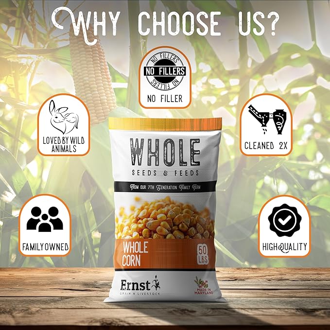 Ernst Grain & Livestock Whole Corn – Perfect Feed for Deer, Squirrels, Chickens, Ducks, Rabbits, Geese, and More! (46 Pound)