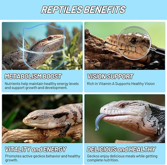 Crested Gecko Food Insect Puree, Dubia Paste Reptile Food Made with Fresh Insects Gecko Food Complete Diet 2.82oz