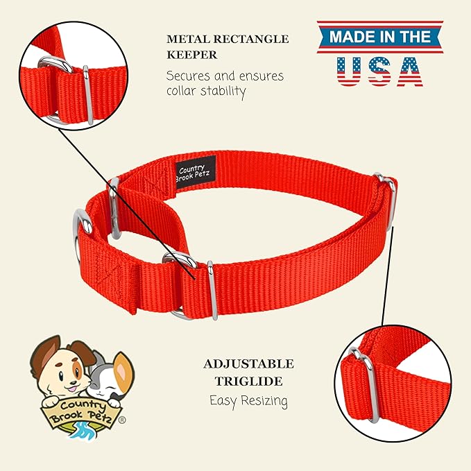 Country Brook Petz - Martingale Dog Collar - Heavy-Duty Training Collar with No Buckle - Service Dog Collar for All Pups - 20 Vibrant Colors (Hot Orange, 1 Inch, Extra Large)