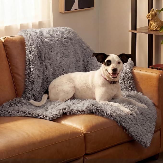 Furhaven Waterproof Throw Blanket for Dogs & Indoor Cats, Washable - Shaggy Plush Calming Long Faux Fur & Velvet Dog Blanket - Gray, Medium