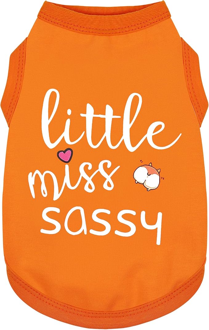 Paiaite Dog Clothes Fashionable Sleeveless Pet Vest: 'Little Miss Sassy' Printed Cotton Dog Shirt, Ideal for Small, Medium, and Large Breeds, Ensuring Comfort and Breathability Orange M