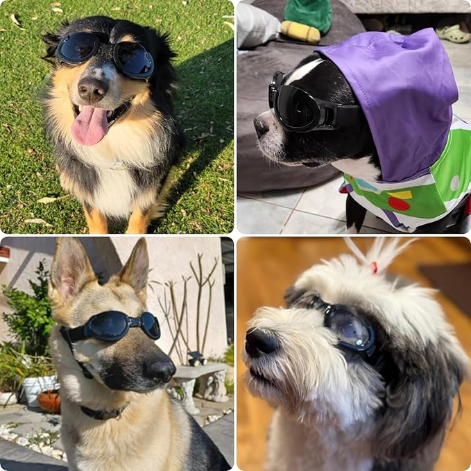 Dog Goggles Medium Breeds, Clear UV Protection Dog Sunglasses with Black Replaceable Lenses, Adjustable Doggy Glasses for Outdoor Activities Hiking/Camping Windproof Pet Eyewear