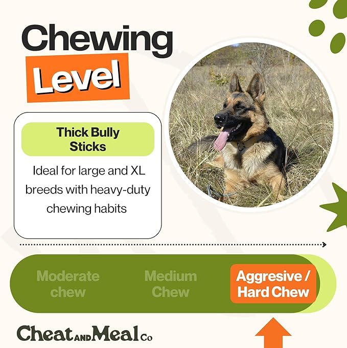 Bully Sticks for Large Dogs - Chew Toys for Aggressive Chewers, Thick 6 Inch (5 Count), 100% Grass-Fed, Single Ingredient, Rawhide-Free, Free Range and Very Long Lansting
