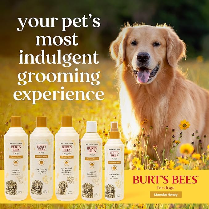 Burt's Bees for Pets Manuka Honey Tearless 2-in-1 Dog Shampoo and Conditioner, with Jojoba Oil, 95% Natural Origin, Free of Sulfates, Milk and Honey Scent, 16 Fl Oz