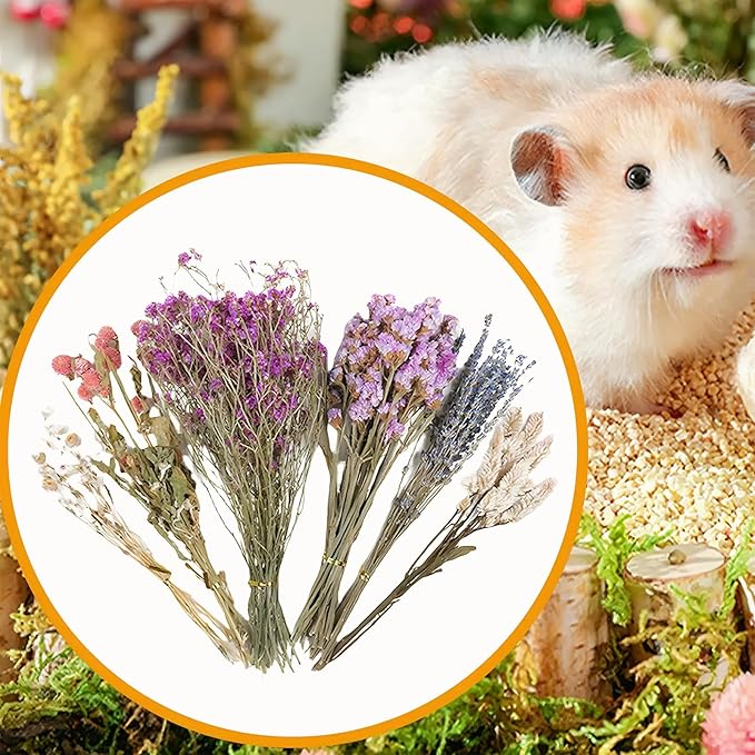 Natural Dried Flower Hamster Sprays for Hamster Cages, Decorative Floral Hamster Bedding Decors, Small Animal Houses & Habitats Hamster Cage Accessories