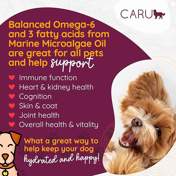 Caru - Classics Pork Stew - For Dogs - Supports Overall Pet Health - Wet Dog Food/Meal Topper - Human Grade Ingredients - Grain, Corn & Soy Free - Non-GMO - Made in USA - 12 oz - Case of 12