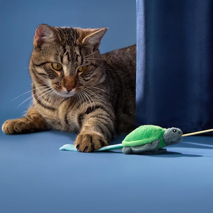 Cat Toys | Plush Turtle Teaser Cat Wand Toy | Eco Friendly Interactive Cat Toys for Indoor Cats